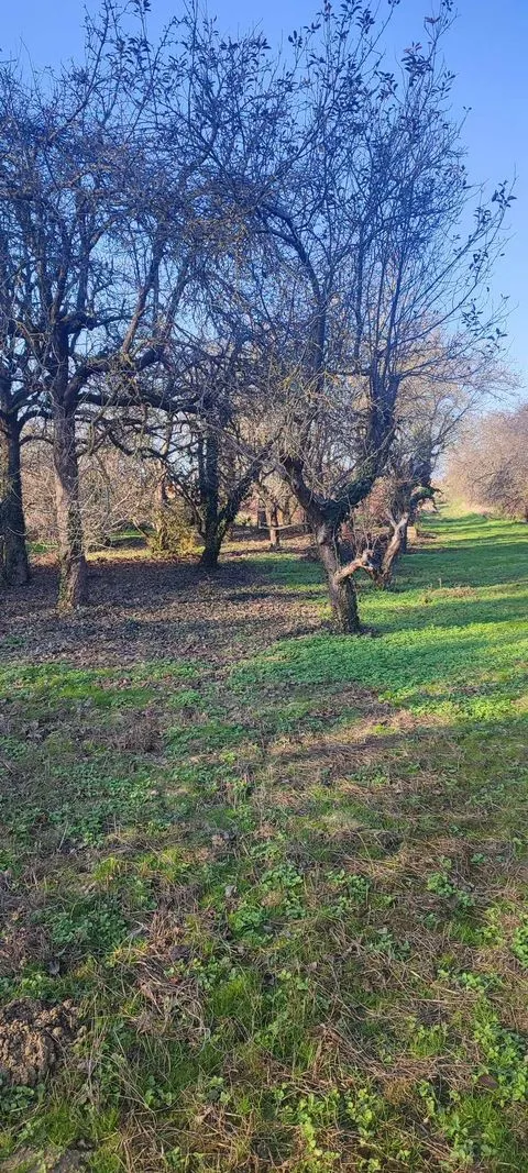 eladó telek Rábasebes