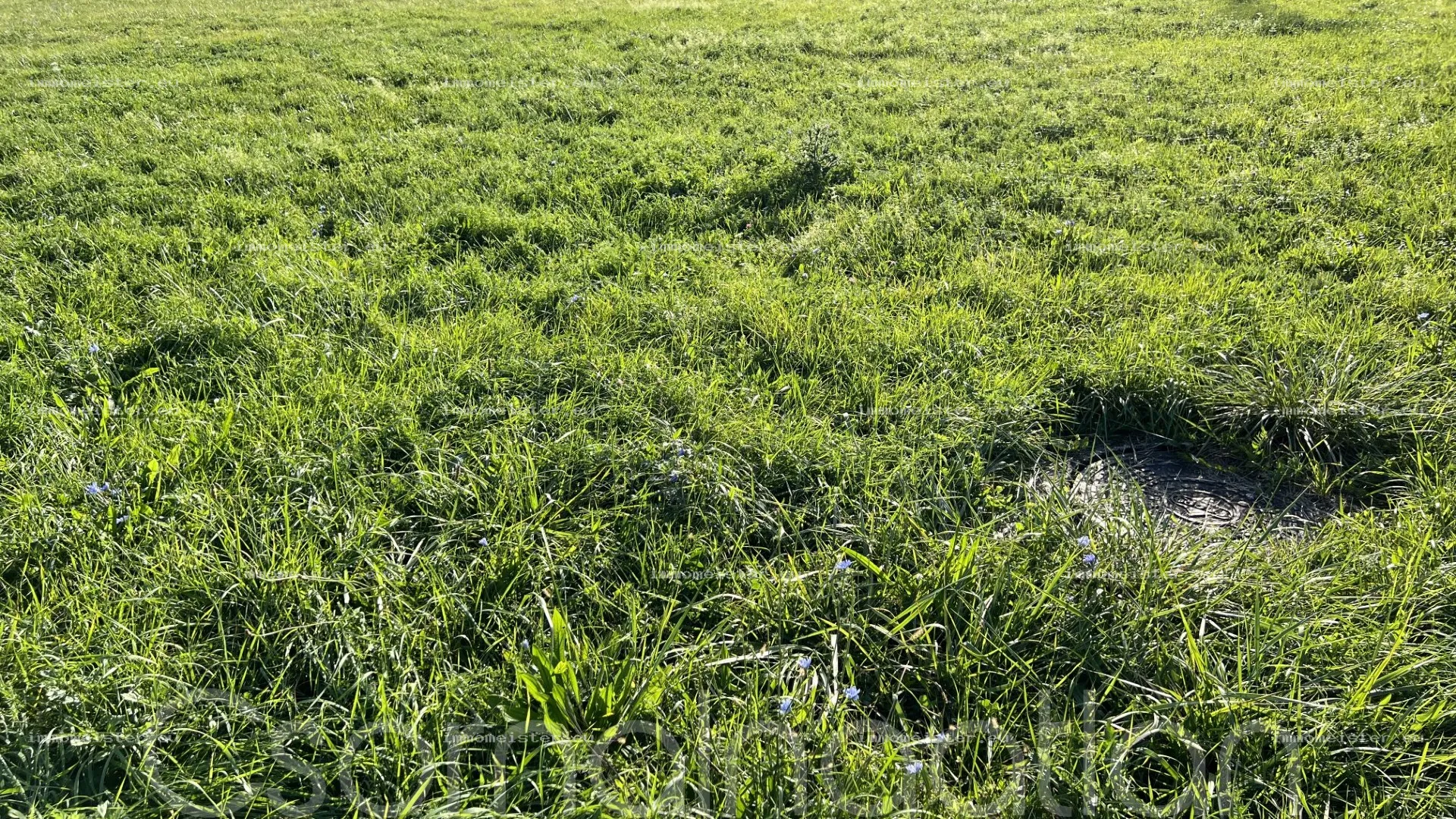 Grundstück zu Verkauf in Bodonhely