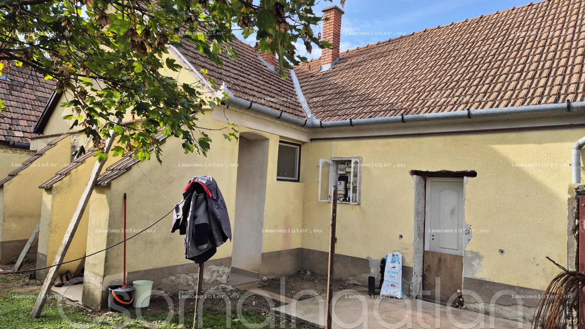 Szany - 3800 m2-es telken ház eladó