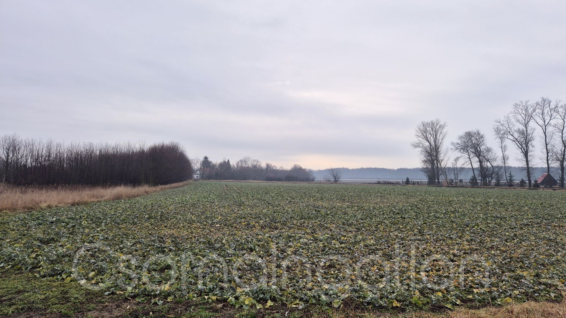 Babót - szántó eladó