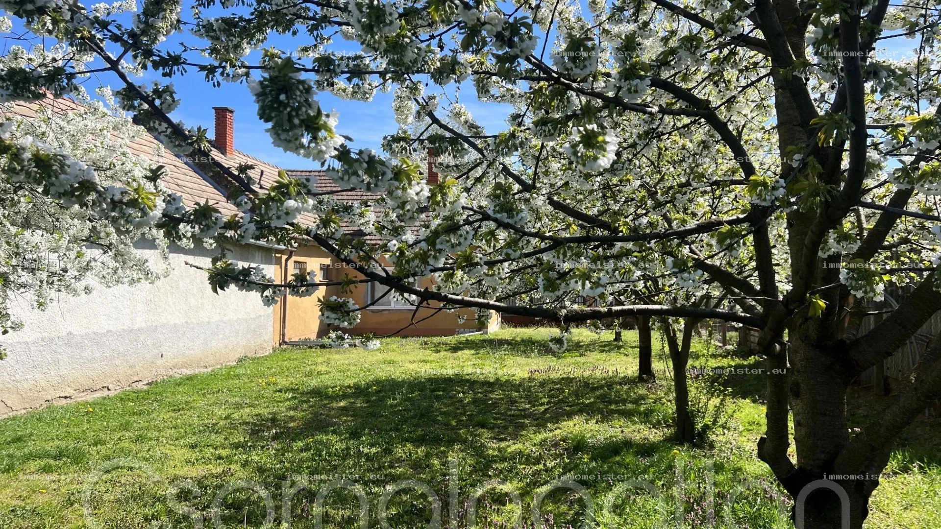 Szil – 3 szobás azonnal birtokba vehető ház eladó