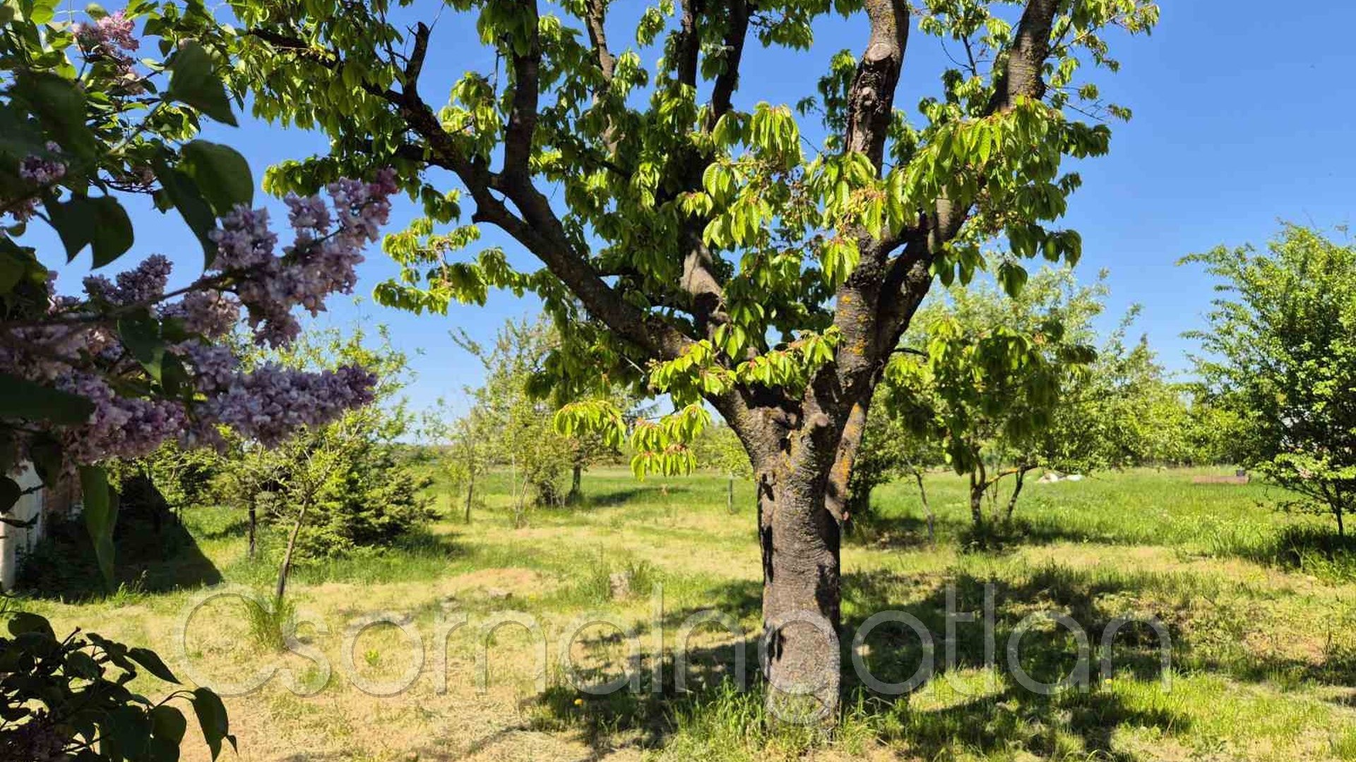 Páli - részben közművesített építési telek eladó