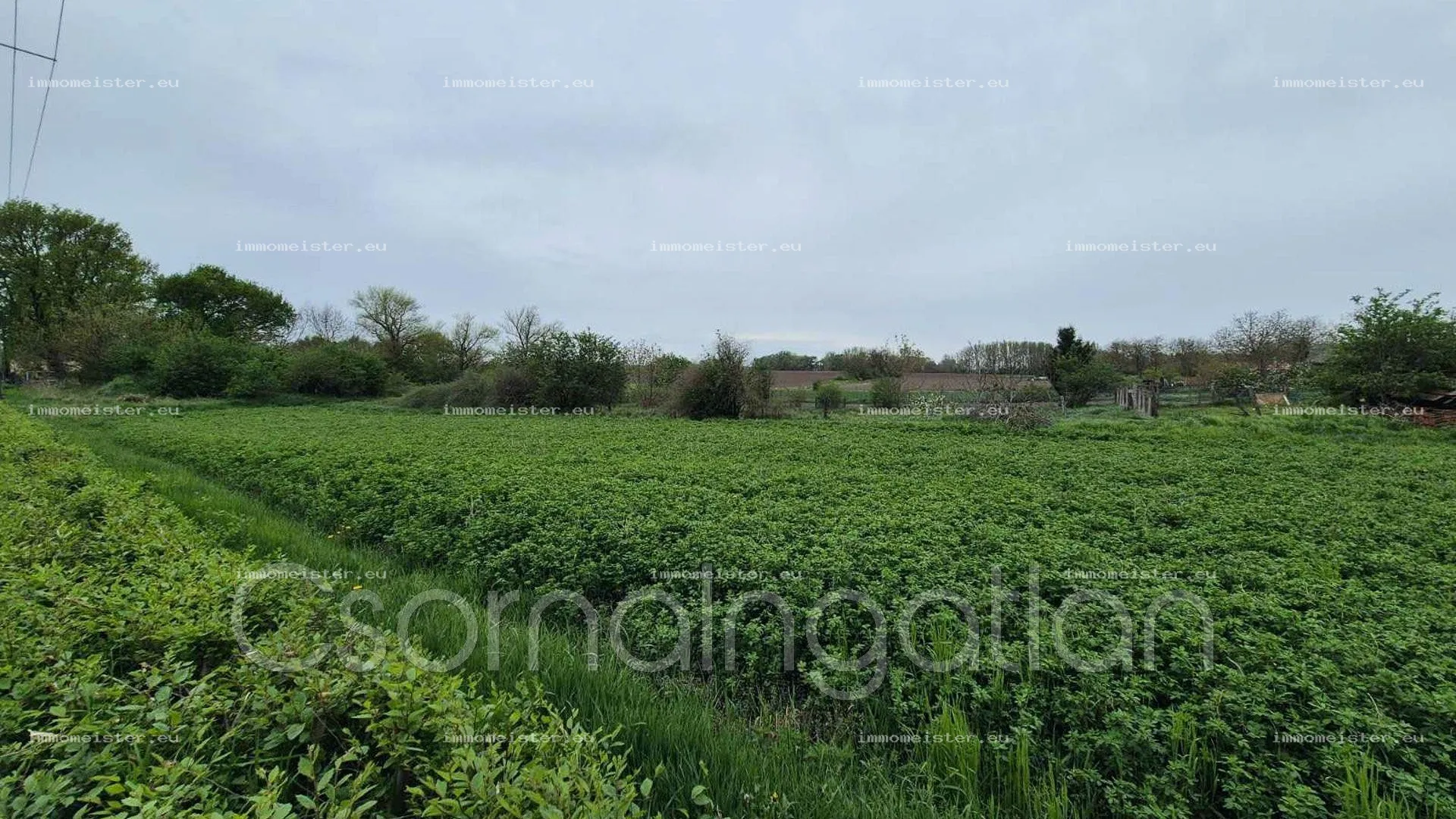 Mihályi - természetközeli, 900 m2-es telek eladó